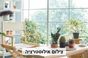 צמחיה לבית